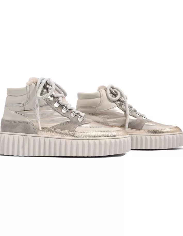 Botines Alpe Alba para Mujer - Estilo Urbano con Detalles Premium · Colección Otoño-Invierno