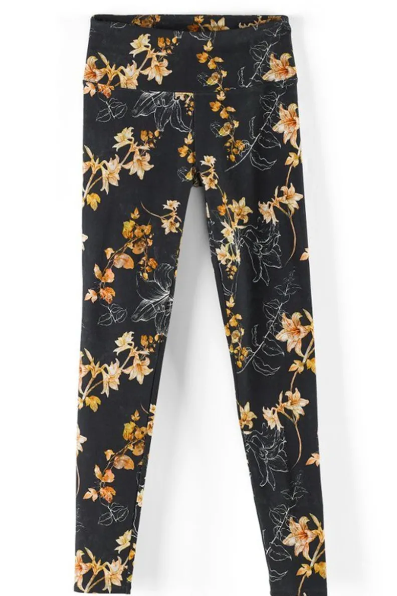Leggings Soft Surroundings – Básicos de Temporada con Ajuste Perfecto  

Versión Actualizada:  
