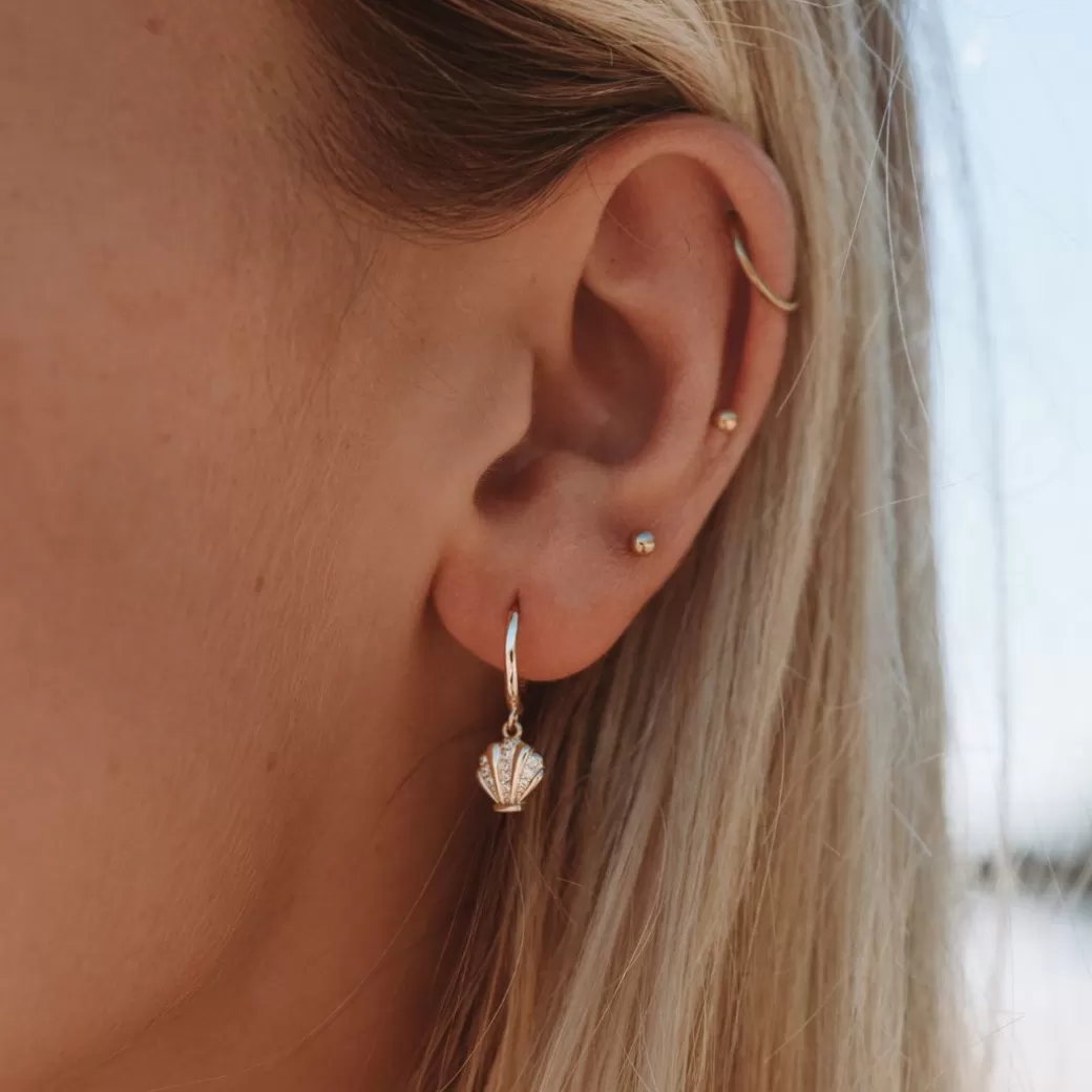Aros Artesanales de Concha Marina - ¡Oferta Especial y Envío Gratis con Atolea!