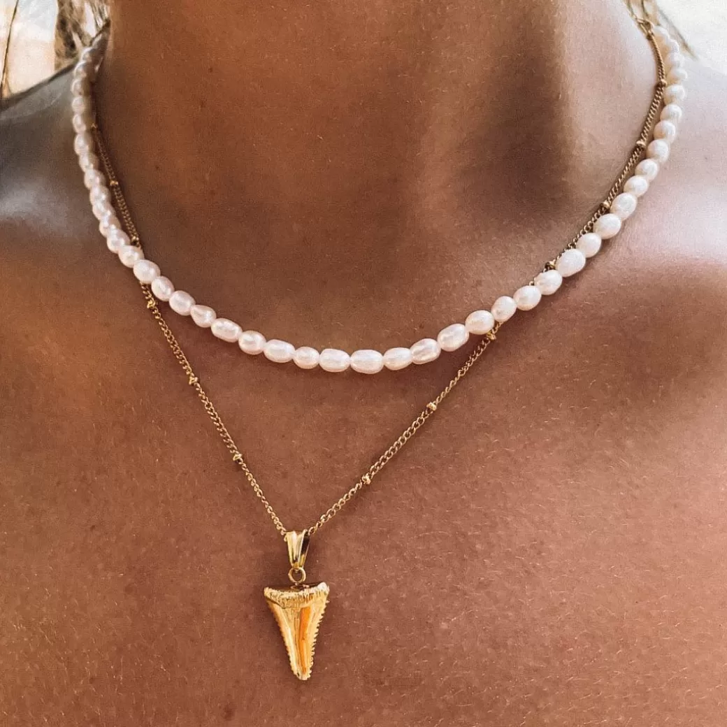 Colgante de Diente de Tiburón Auténtico - Diseño Exclusivo de Atolea Joyería (Nueva Colección)