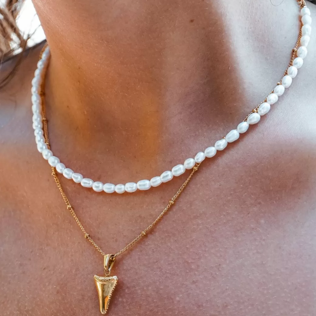 Colgante de Diente de Tiburón Auténtico - Diseño Exclusivo de Atolea Joyería (Nueva Colección)