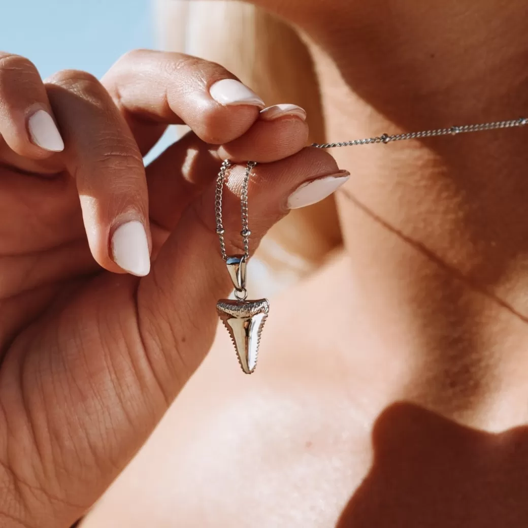 Colgante de Diente de Tiburón Auténtico - Diseño Exclusivo de Atolea Joyería (Nueva Colección)