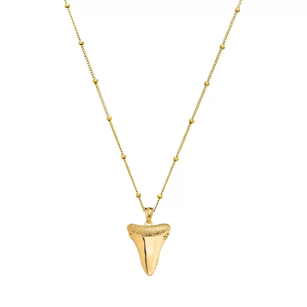 Colgante de Diente de Tiburón Auténtico - Diseño Exclusivo de Atolea Joyería (Nueva Colección)