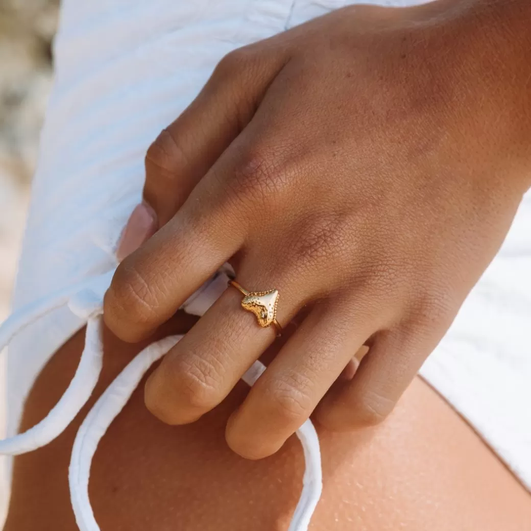 Anillo Colmillo de Tiburón - Diseño Exclusivo en Plata | Joyería Artesanal Atolea