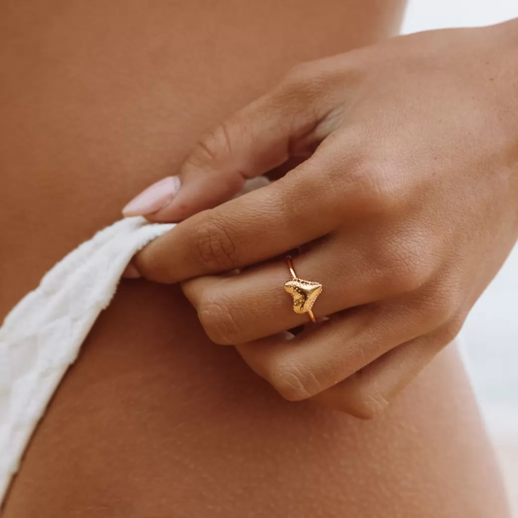 Anillo Colmillo de Tiburón - Diseño Exclusivo en Plata | Joyería Artesanal Atolea