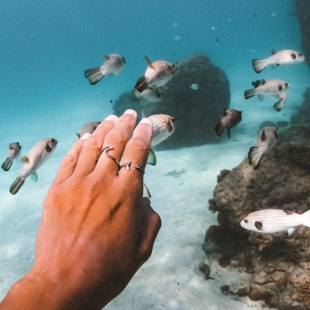 Anillo Inspirado en la Cola de Ballena - Joyería Exclusiva Atolea | Envíos Online